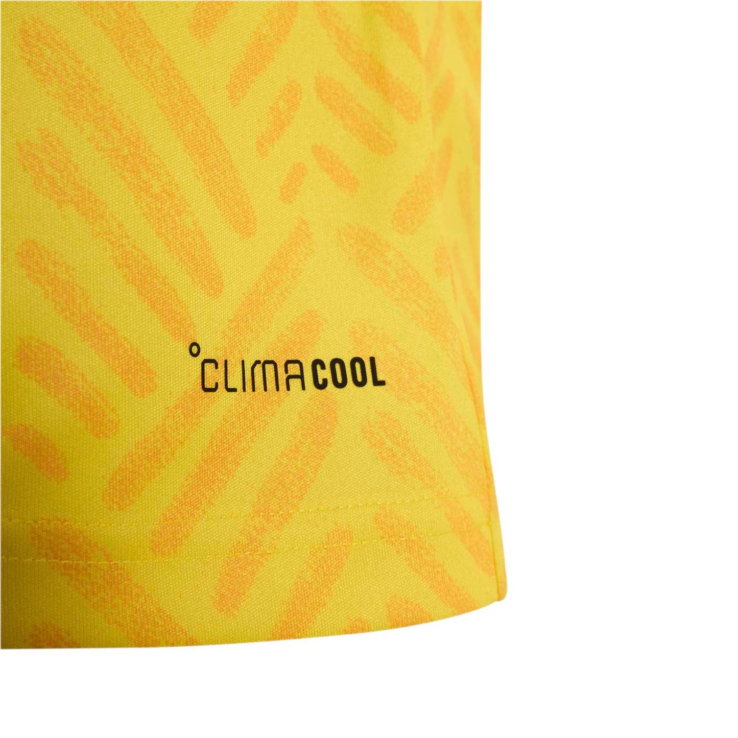South Africa 2026 Home Jersey - Youth